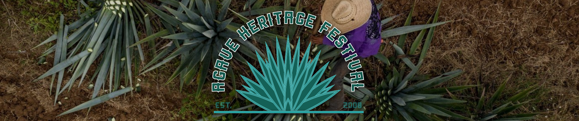 Agave drawing and logo of Agave Heritage Festival Tucson 2024
