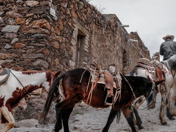 real de catorce