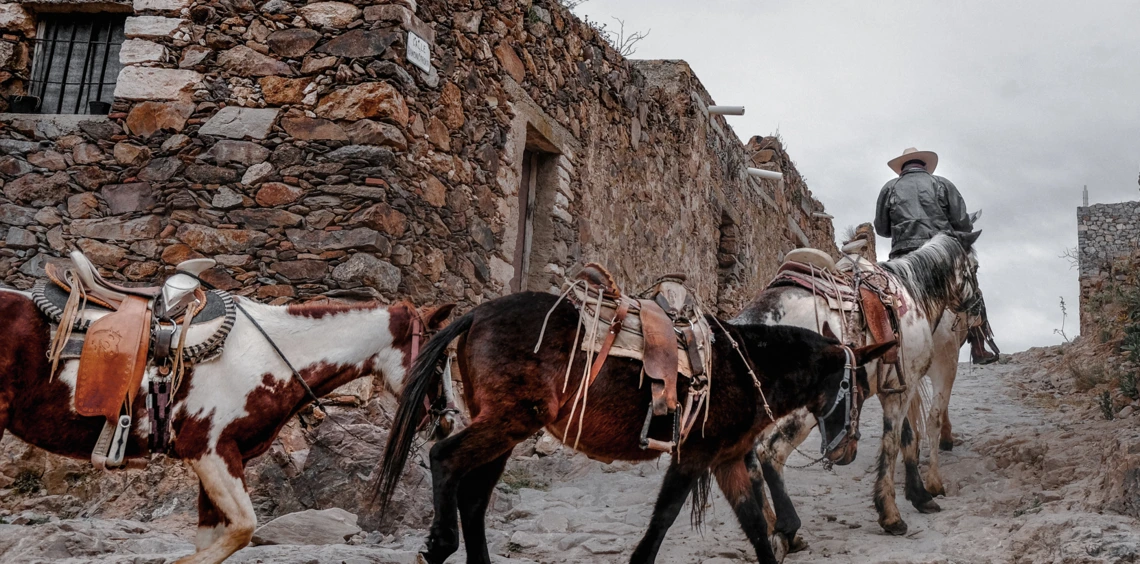 real de catorce