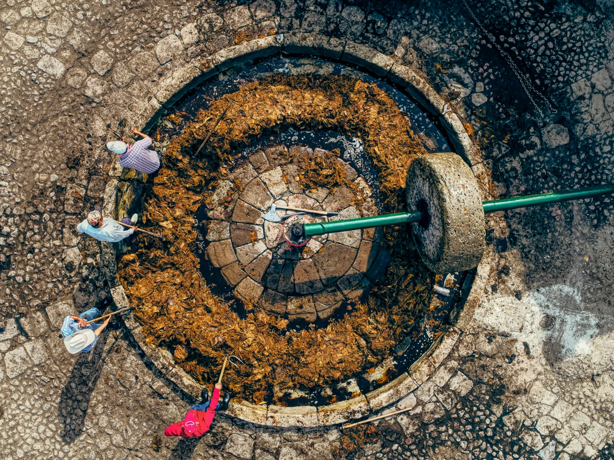 workers in a mezcaleria in san luis potosi, in a grindmill, seen from above