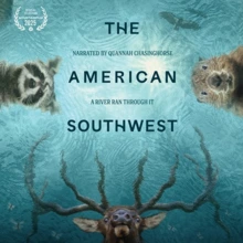 The American Southwest movie poster The Loft
