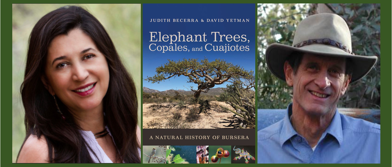 New Book Elephant Trees, Copales, and Cuajiotes Southwest Center
