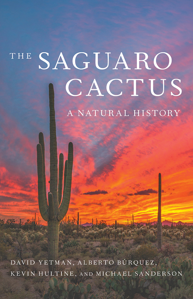 Book cover showing saguaro cactus and desert sunset
