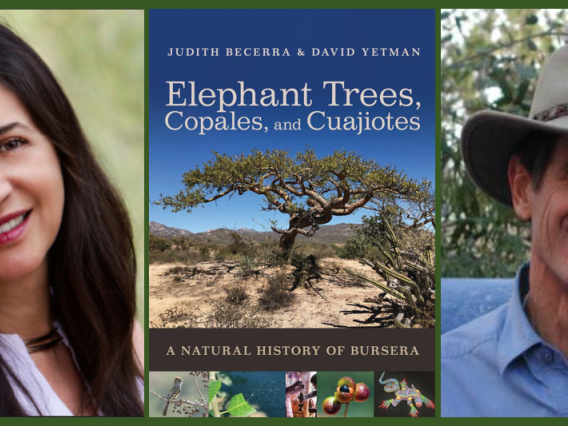 Portrait of Judith X Becerra and David Yetman, and book cover