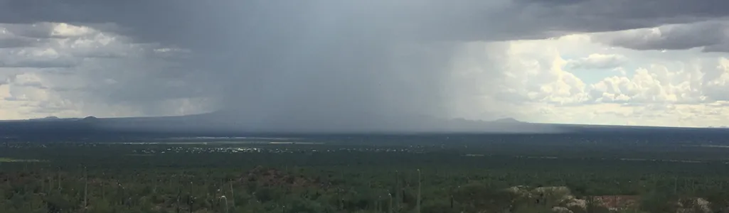 Saguaro National Park