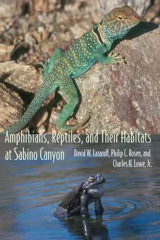 Amphibians, Reptiles, and Their Habitats at Sabino Canyon book cover