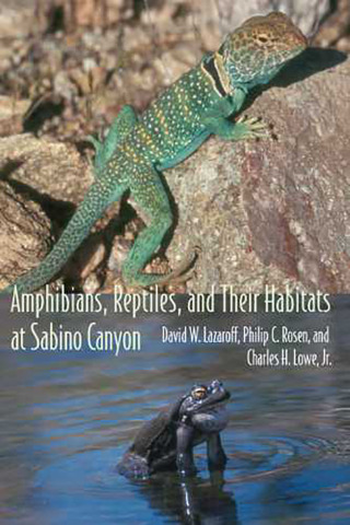 Amphibians, Reptiles, and Their Habitats at Sabino Canyon book cover