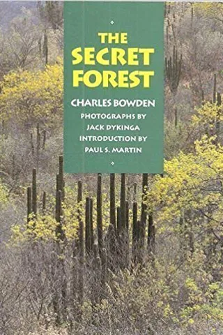 The Secret Forest book cover