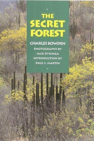 The Secret Forest book cover